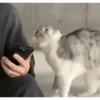 PeTs👀 13