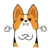 Enojo 13