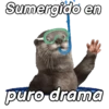 Animalitos funny random🐀🐷🐢 5