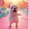Pibble 🐶 Perro Pibble TikTok 🎶 15