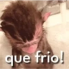 Macaquinhos 🐒 22