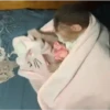 Macaquinhos 🐒 20