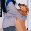 Cachorro caramelo 5