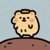 Random Hamster ✨🐹 10