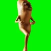 Animados  6