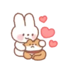 Rabbit GIF  5
