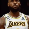 Lebron James Moods🏀✨ 8