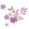 Plants and Flowers🌺🪴 18