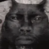 🐈‍⬛🐱🧶 GATOS | CATS 4 🧶🐱🐈‍⬛ 6