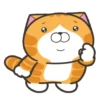 Happy Cat GIF 😸 10