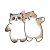 Meme Kucing Bucin Couple Cat 8