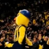 Fenerbahçe Yellow 2 9