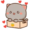 Amor 💖 Peach 🍑 y Goma Cat 🐈‍⬛ 25