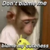 Monkeys Phrases 💬🐒 7
