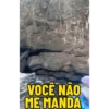 Minhas figurinhas 29