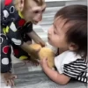 ❀ᮬ🤎⣧ ᩡᩡ Monos !©️Pochis  26