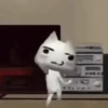 Gatos engraçados 11