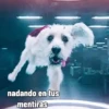 Memes 3 16