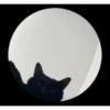 Pedro Pedro Pedro. TikTok mascotas 13