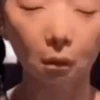 Floptok animadas 6