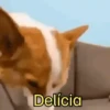 Delícia
