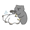 Meme Kucing Bucin Couple Cat 13