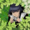 Bleach 12
