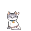 Gato bailando 11
