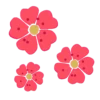 Plants and Flowers🌺🪴 11