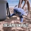 Lilo & Stitch 10