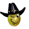 Emojis 13