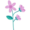 Plants and Flowers🌺🪴 13