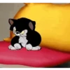 Momentos de ira 🤨 5