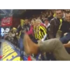 Videolar  7