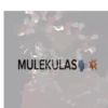 MULEKULAS✶✶