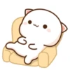 The gomu gomu cat 13