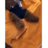 Perros 01mov 11