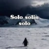 Solo solin solo