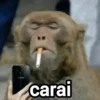 Memes figurinhas  24