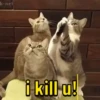 k-net i kill u!