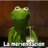Rana René #2🐸 14