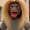 Monos animados  10