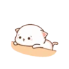 Peach cat 3  11