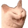 Gatos para el chat 🐱🤣 6