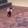 Monkey 15.0 10