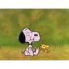 Snoopy 🤭✨️ 11