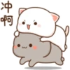 Love peach Mochi cat love  10