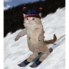 Gatinhos  10