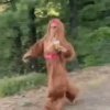 🎵 TIKTOKeando 20🎵 7