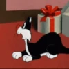 Gato Silvestre 12